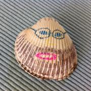 large_shellportrait.JPG